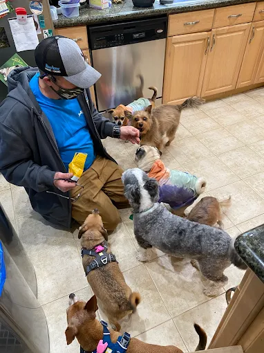 A Barker team member surrounded by the pack