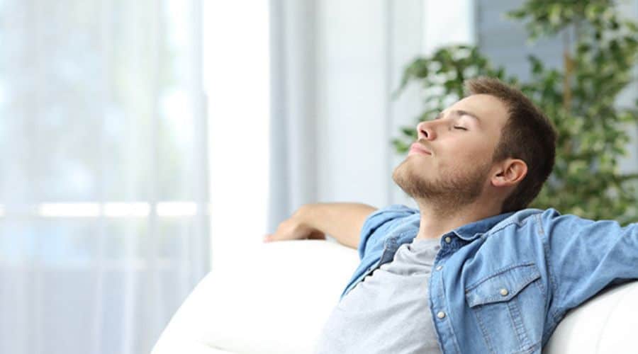 Young man relaxing indoors with natural light and plants, representing home comfort for Barker Heating & Cooling.